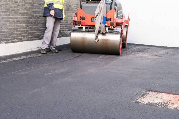 Why Choose Us For All Your Driveway Paving Needs in Pelican Marsh, FL?